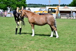 SBM_08051