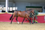 SBM_04379