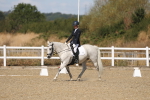 SBM_013568