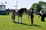 SBM_09478