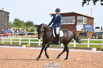 154-Claire.Moyes-Tummery.Forest.Flame portfolio