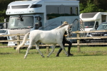 SBM_00745