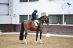 Class 3 - Medium 6 Gold - 15.37-16.20 portfolio