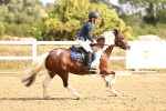 SBM_006536