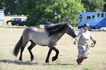 WJ6_4482