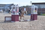 BPP_7691