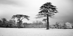 Lydiard House