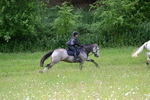 WJ7_8644