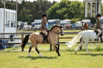SBM_08481