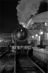 Bewdley Stop