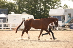 SBM_08182