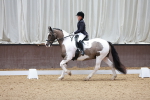 SBM_006309