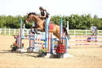 SBM_003641