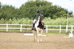 SBM_001408