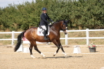 SBM_014652