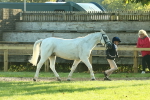 SBM_57358