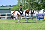 SBM_19495