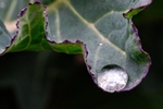 DSC00701