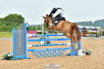 Cls 16 Foxhunter portfolio