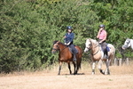 WJ6_8814