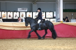 SBM_20477
