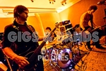 Teaspoonriverneck-99