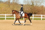 SBM_004646