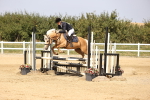 SBM_002952