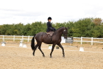 SBM_004633