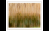 =3rd Place Digital