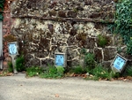 Shere Set 1 - 06