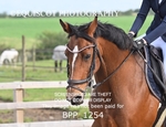 BPP_1254