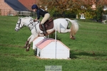 457-KILLOUGHTER.GOLD.DUST-Olivia.McDonald-SC+XC portfolio
