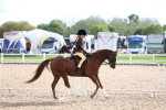 SBM_17517