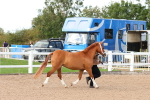 SBM_11003