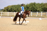 SBM_006529