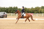 SBM_001426