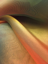 Evolver Prize 2009 portfolio