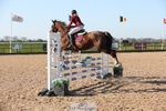 Cls 1 British Novice and 90cm Open portfolio
