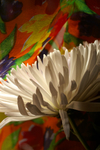 Flowers Set 1 - 14