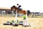 SBM_001915