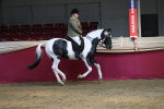 Class 10R Regional Ridden Diamond portfolio