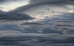 Crazy Cloud