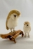 Barn Owls (Large and Med)