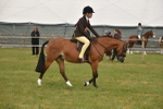 SBM_10705