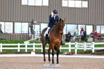 261-Angus.Corrie.Deane-Borlandeaux portfolio