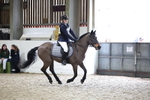 AJG_1483_1