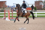 FRI Cls 7 Grade B&C Champ Qualifier portfolio