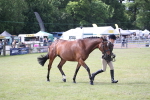 SBM_13261
