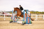 SBM_007462